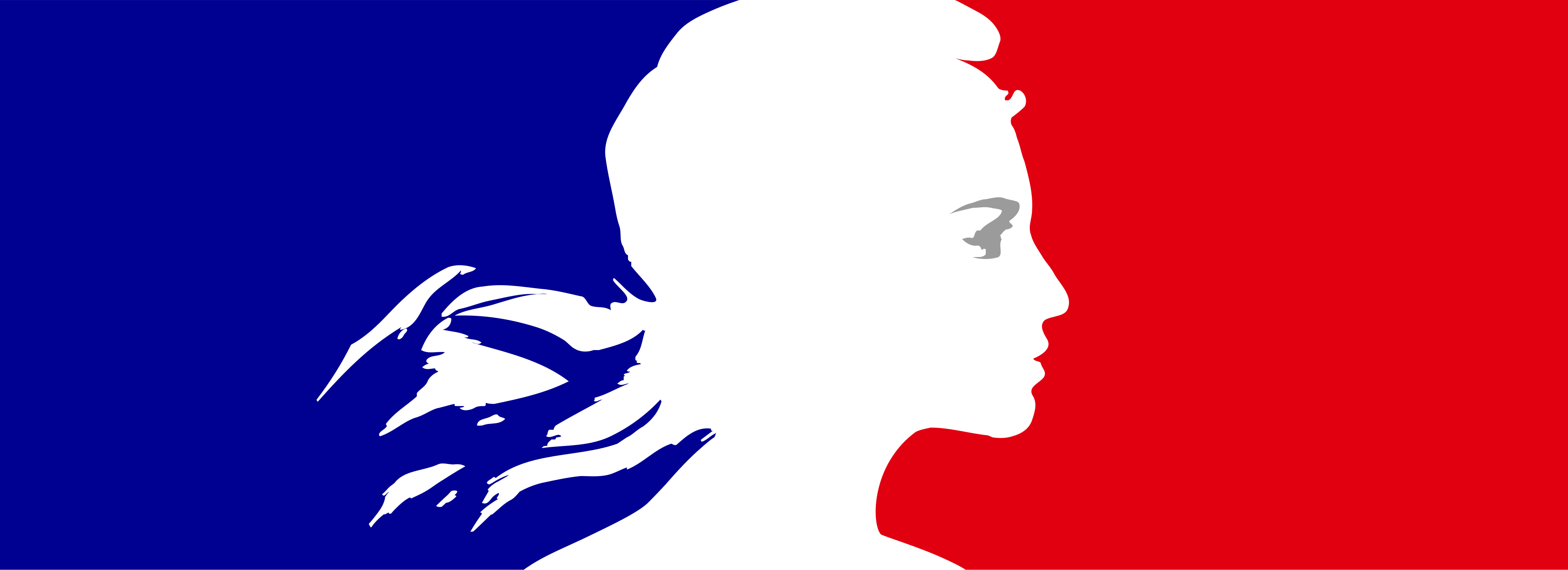 Logo de DINUM / Réseau interministériel de l'état / Premier ministre